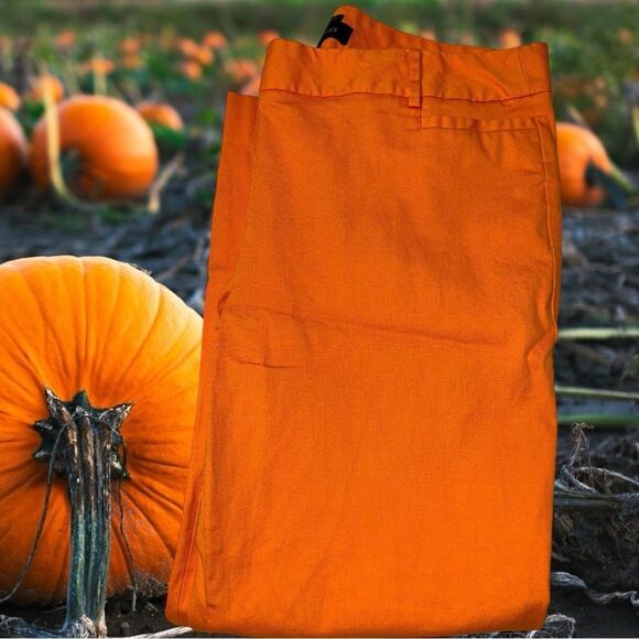 Talbots Hampshire. orange pants with tiny split at ankle. - Picture 4 of 7